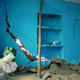 While cracks have been appearing in Joshimath’s houses for the last 14 months, the situation aggravated with rapid land subsidence earlier this month.